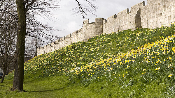 York city walls