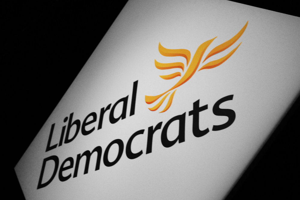 Federal Elections 2022 - get involved! - Liberal Democrats